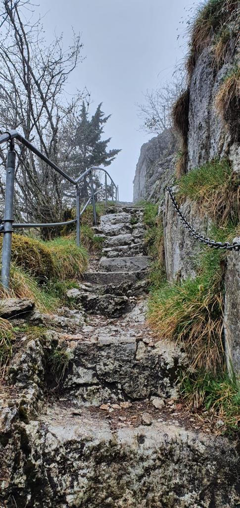 Les niveaux du deuil