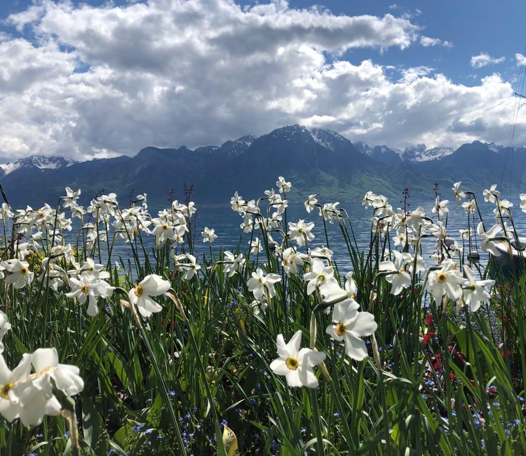 Chaque deuil est unique