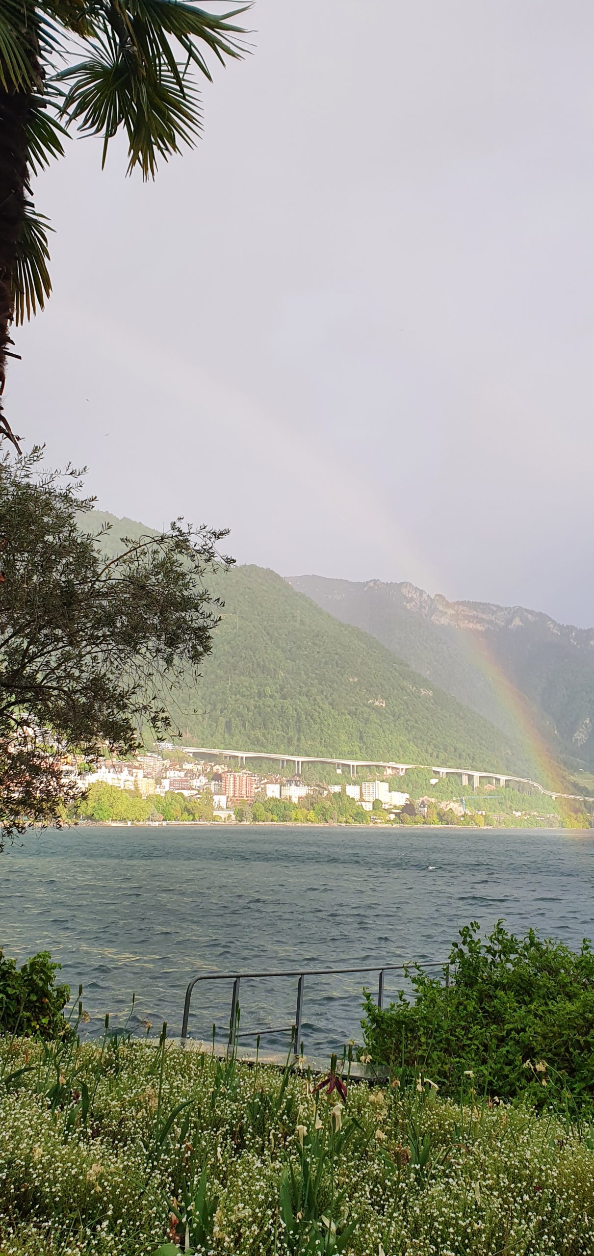 La « gestion » des émotions