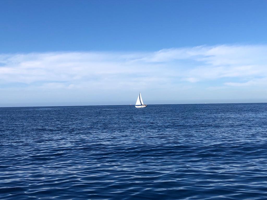 La décharge émotionnelle