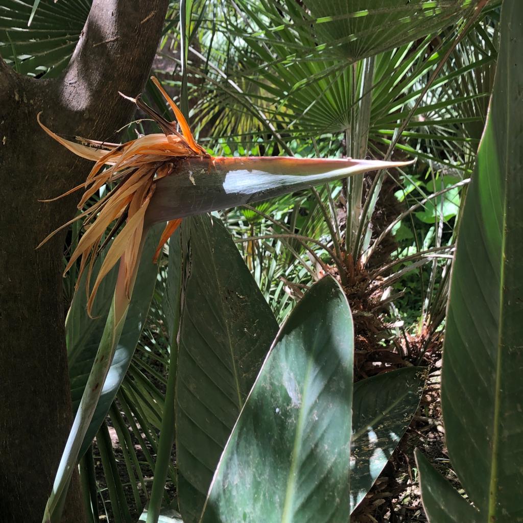 S’aligner tête cœur corps