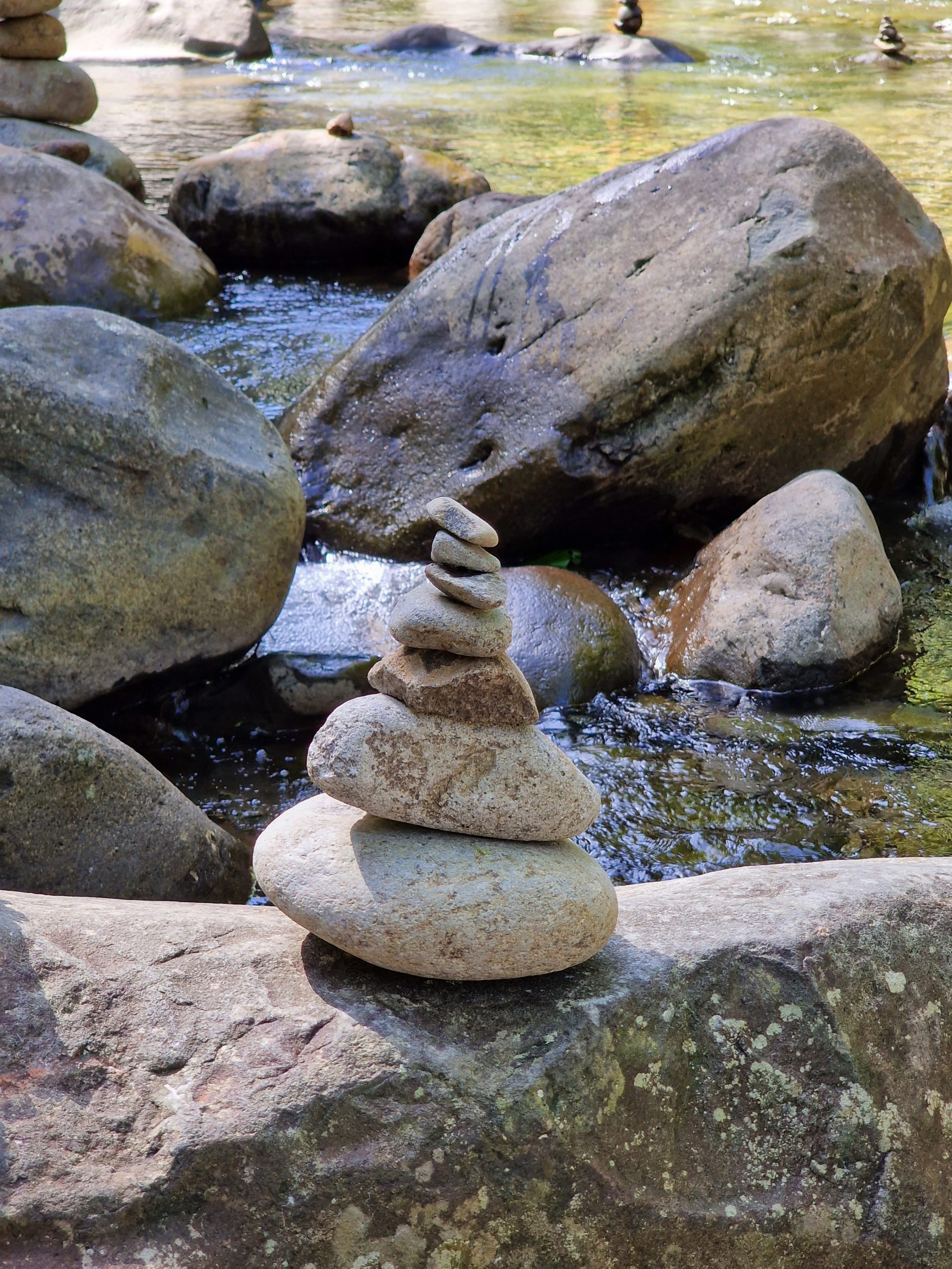 Les 4 tâches du deuil