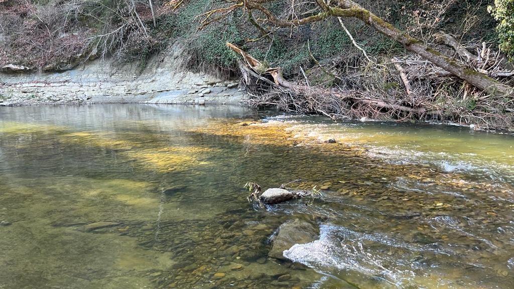 Le chamboulement d’un deuil