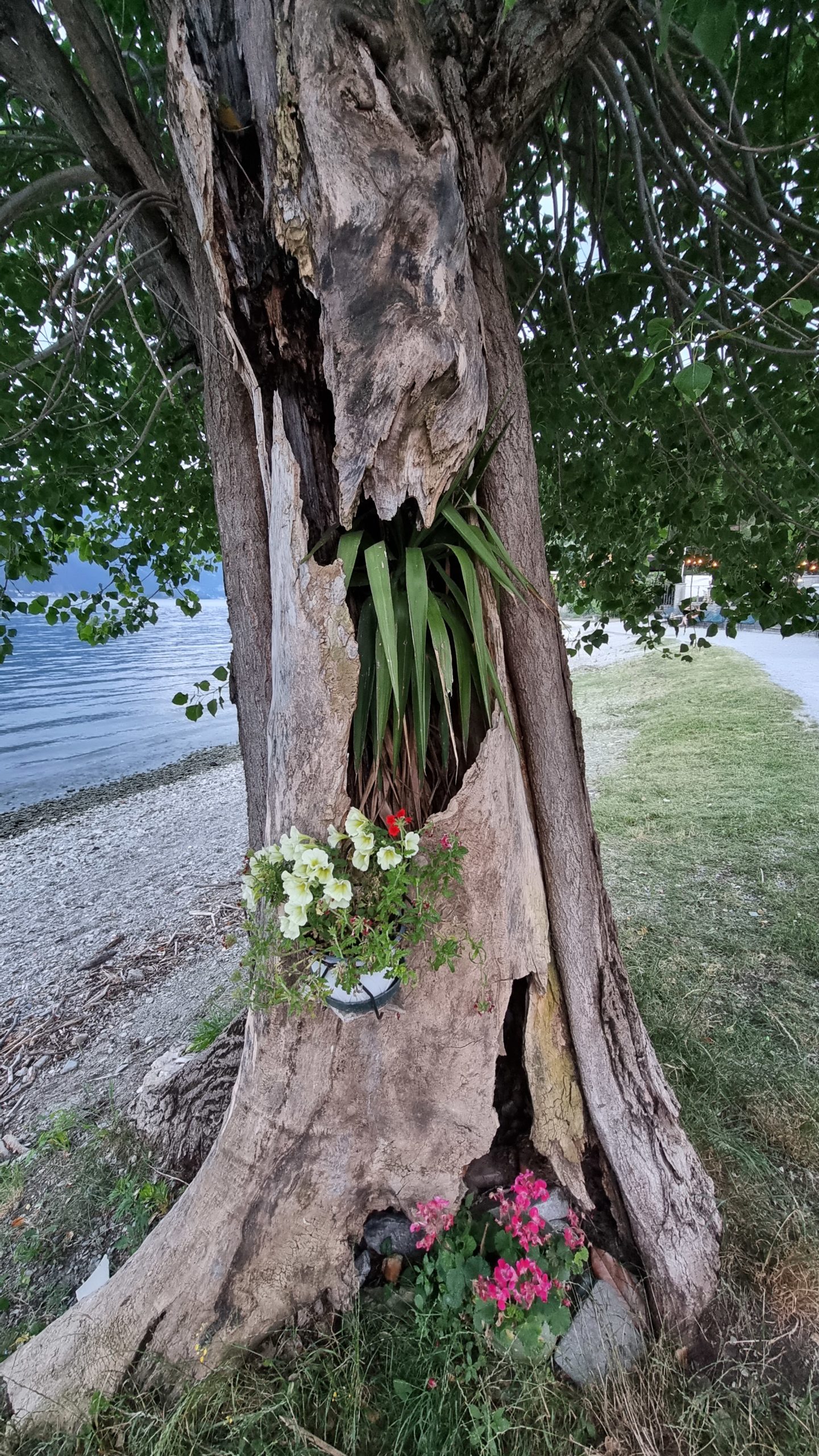 Vouloir plaire à tout le monde