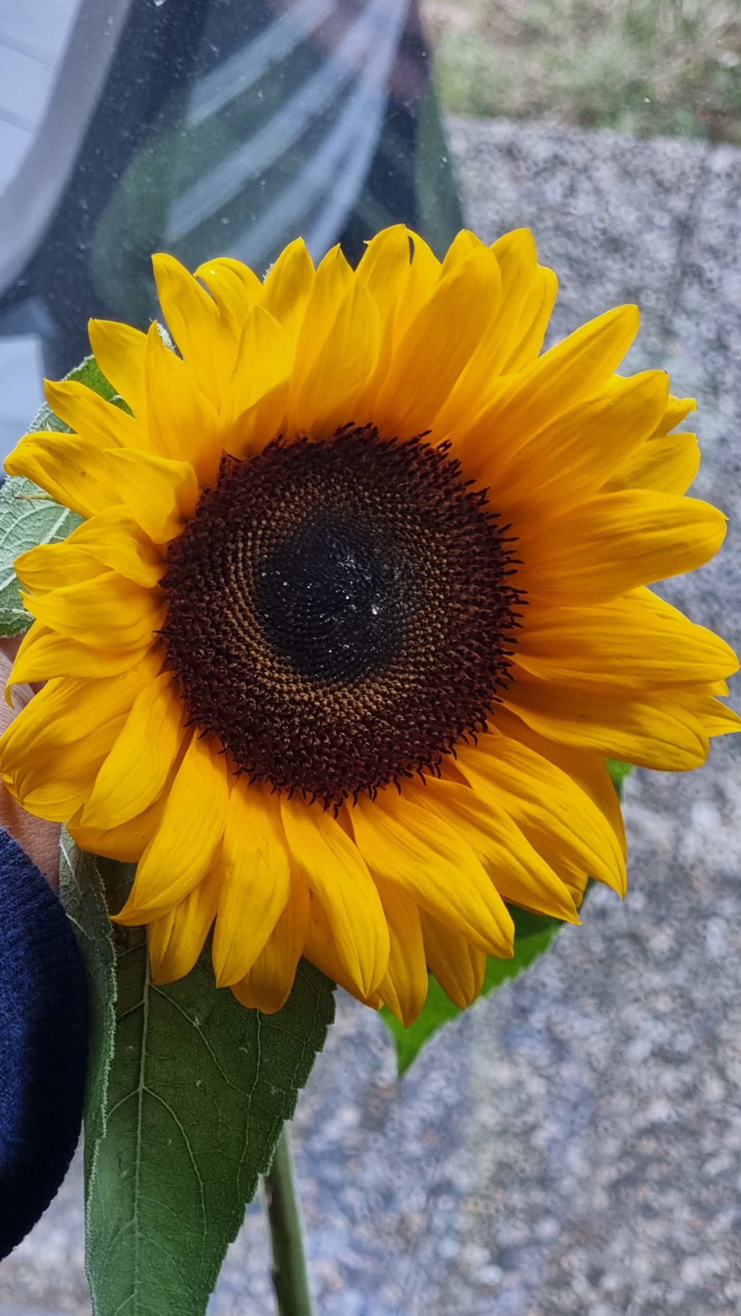 Les fleurs durant une cérémonie de funérailles