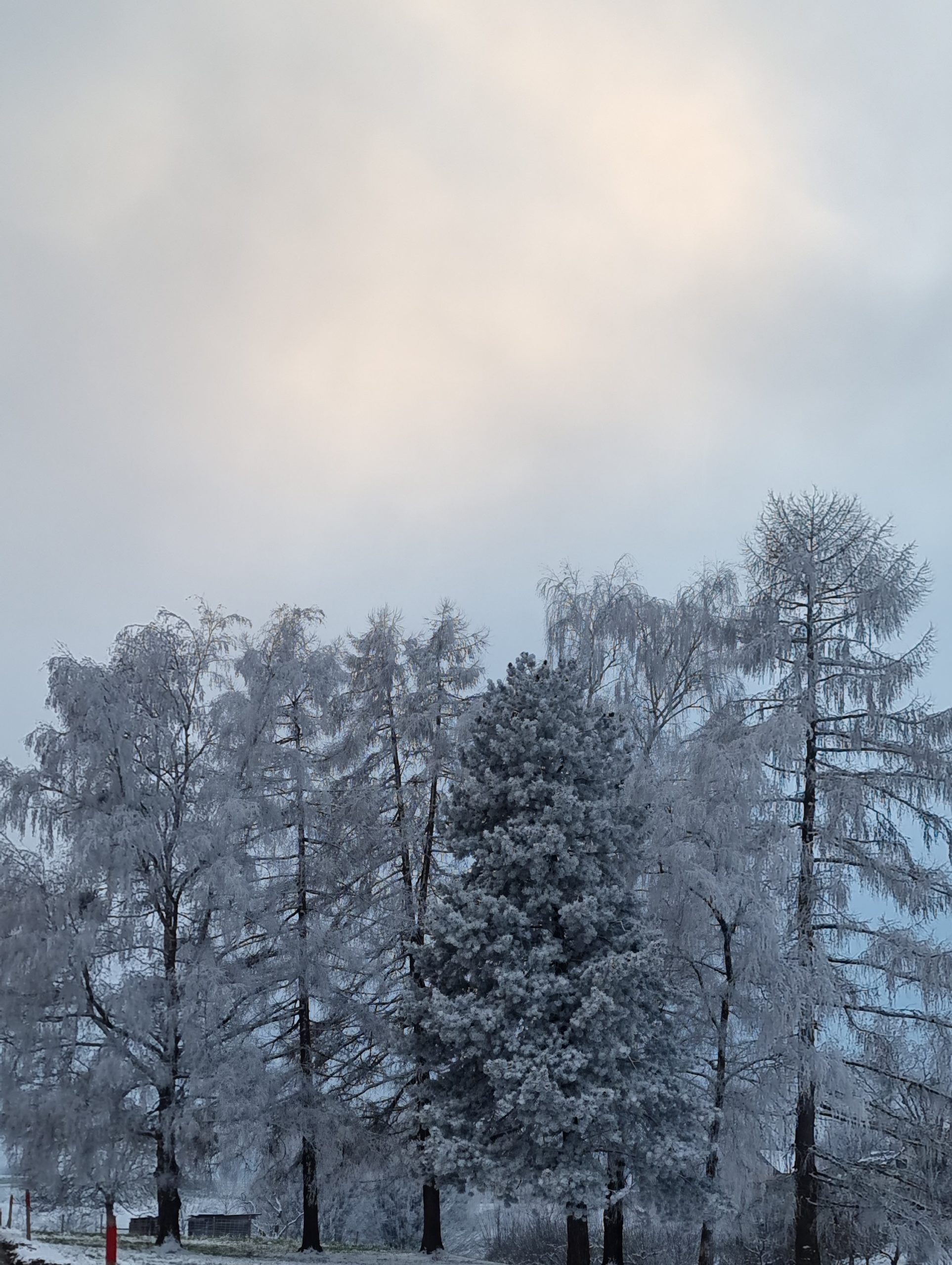 L’anniversaire du décès